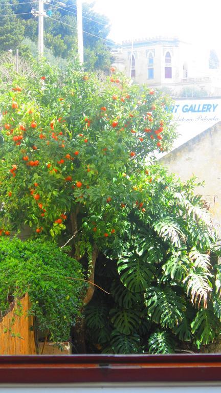 Villa Apollo B&B Capri Bilik gambar