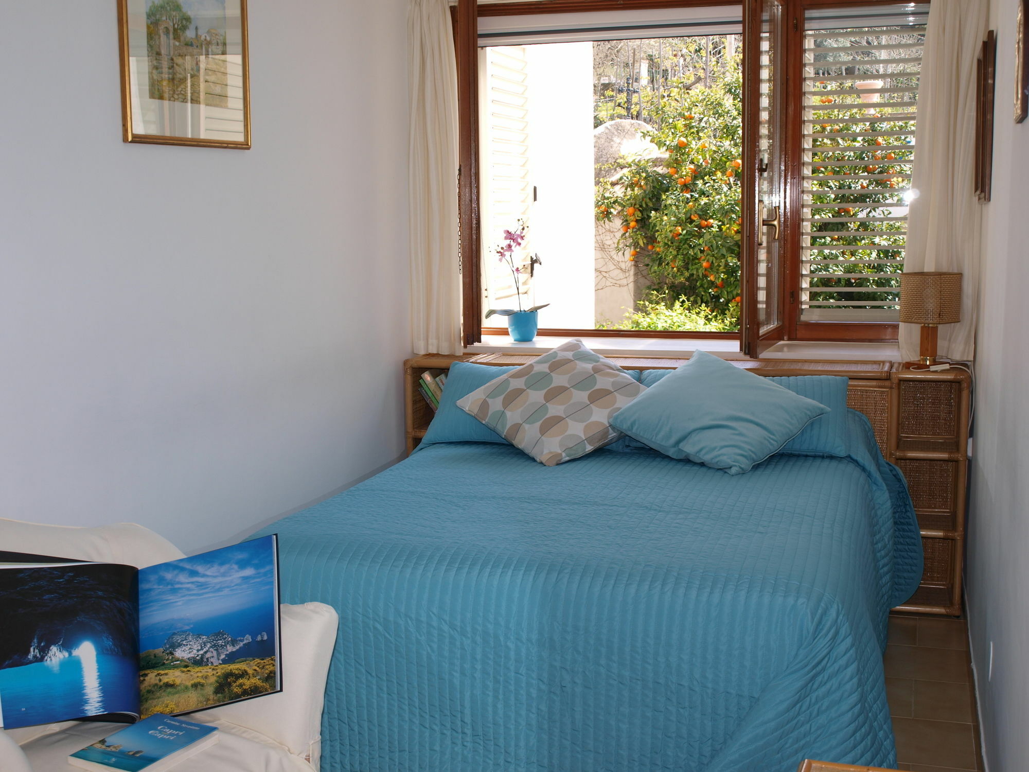 Villa Apollo B&B Capri Luaran gambar